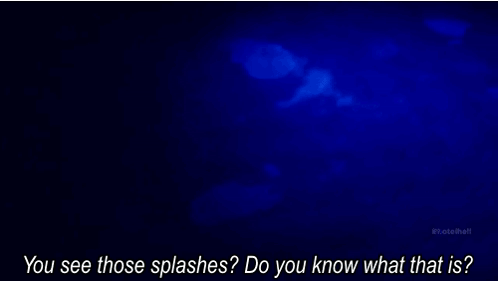 A Blue Background With The Words " You See Those Splashes Do You Know What That Is " On It GIF