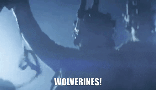 a blue background with wolverines written in white
