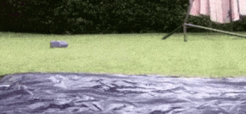 A Blue Bottle Is Sitting On The Grass Next To A Pink Towel GIF