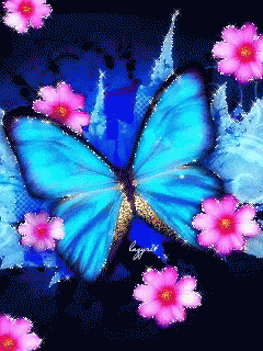 A Blue Butterfly Is Surrounded By Pink Flowers On A Black Background And The Butterfly 'S Wings Are Visible GIF
