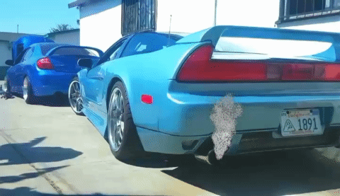 A Blue Car Has A California License Plate That Reads 1891 GIF