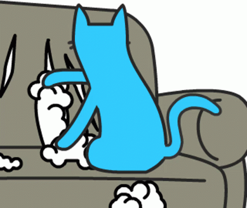 A Blue Cat Is Sitting On A Couch Next To A White Dog GIF