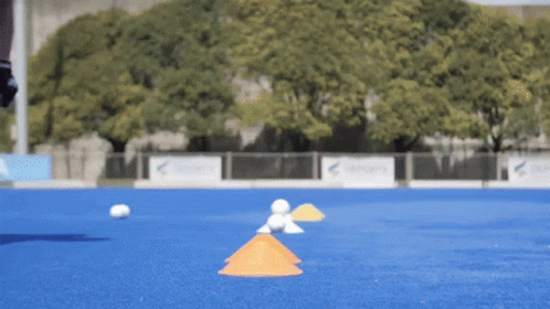 A Blue Field With A Few Cones And A Few Balls On It GIF