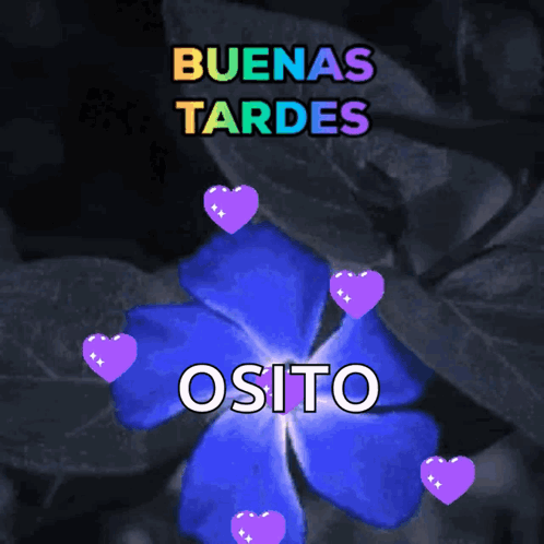 A Blue Flower Is Surrounded By Purple Hearts And The Words Osito GIF
