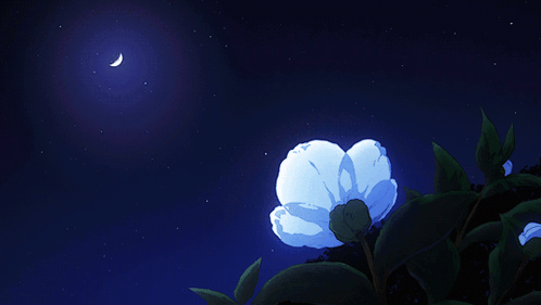 A Blue Flower With A Crescent Moon In The Sky GIF