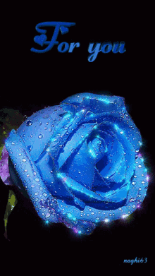 A Blue Rose With Water Drops And The Words " For You " GIF