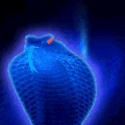 A Blue Snake With Red Eyes Is Surrounded By Blue Light GIF
