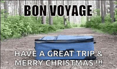 A Blue Suitcase Is On A Dirt Road In The Woods . GIF