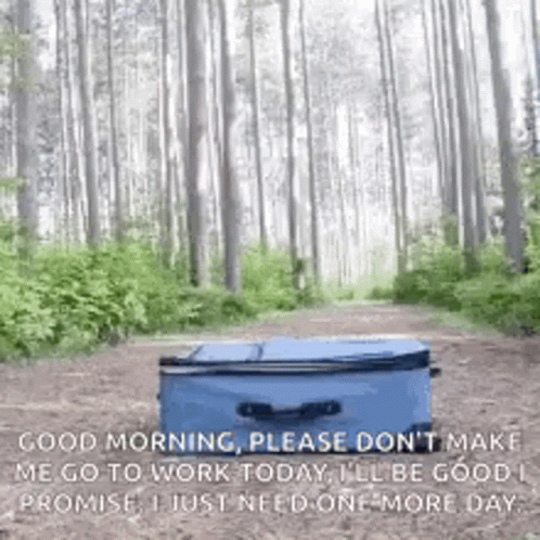 A Blue Suitcase Is Sitting In The Middle Of A Forest . GIF