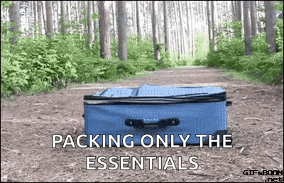 A Blue Suitcase Is Sitting On A Dirt Path In The Woods . GIF