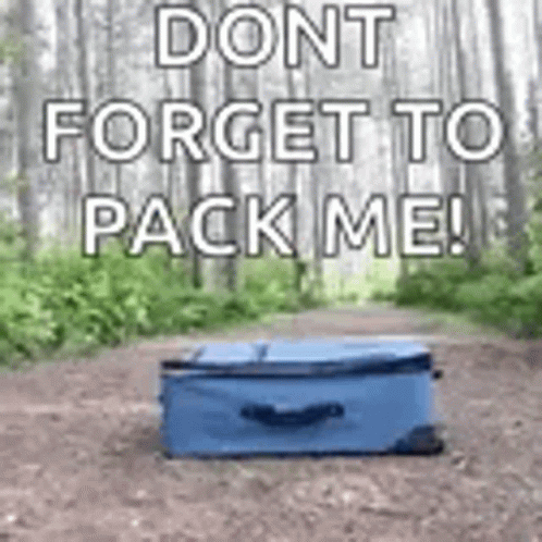 A Blue Suitcase Is Sitting On Top Of A Dirt Road In The Woods . GIF