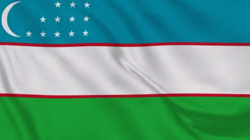 A Blue White And Green Flag With A Crescent Moon And Stars On It GIF