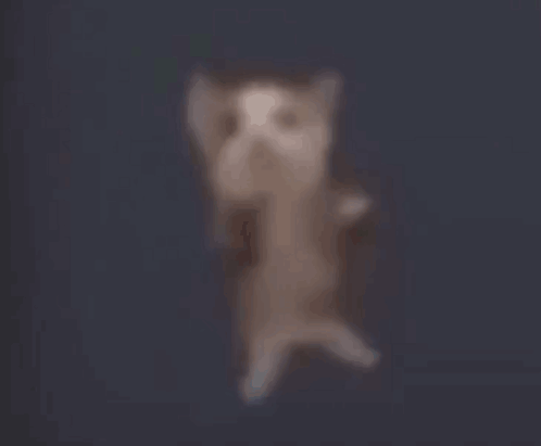 A Blurred Image Of A Bird Flying In The Air GIF