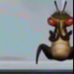 A Blurred Image Of A Bug With Red Eyes GIF