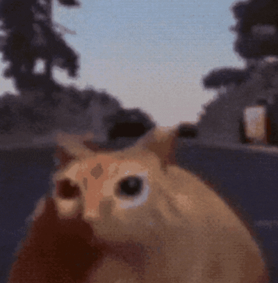 A Blurred Image Of A Cat Looking At The Camera GIF