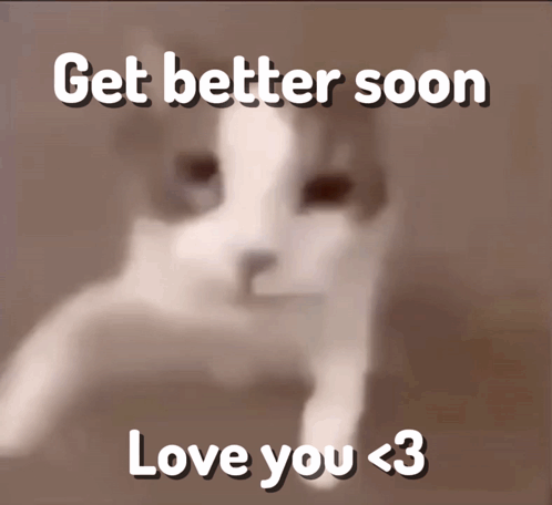 A Blurred Image Of A Cat With The Words Get Better Soon Love You < 3 GIF