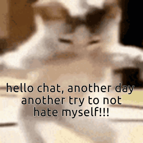 A Blurred Image Of A Cat With The Words " Hello Chat Another Day Another Try To Not Hate Myself !!! " GIF
