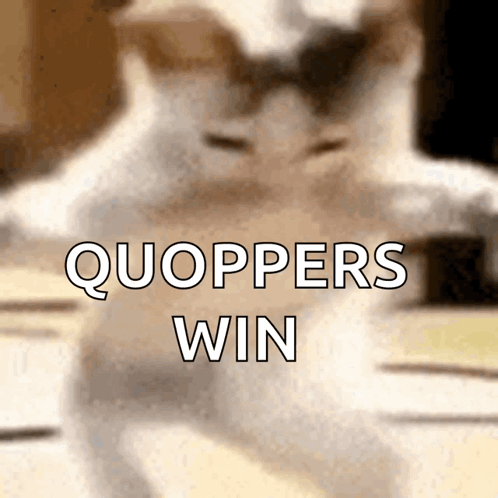 A Blurred Image Of A Cat With The Words Quoppers Win Written Above It GIF