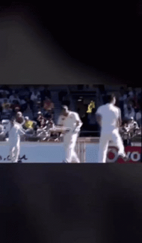 A Blurred Image Of A Cricket Game With The Word Vodafone Visible GIF