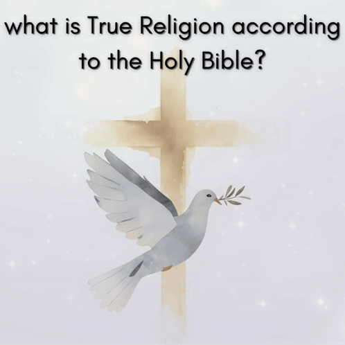 A Blurred Image Of A Cross With A Dove On It GIF