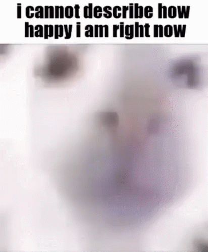 A Blurred Image Of A Dalmatian Dog With The Words `` I Cannot Describe How Happy I Am Right Now '' . GIF