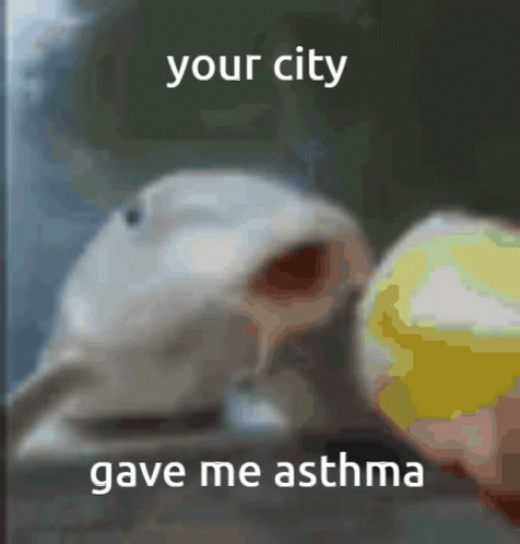 A Blurred Image Of A Dog With The Words " Your City Gave Me Asthma " On The Bottom GIF