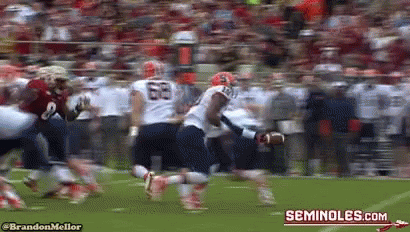 a blurred image of a football game with the words seminoles.com on the bottom