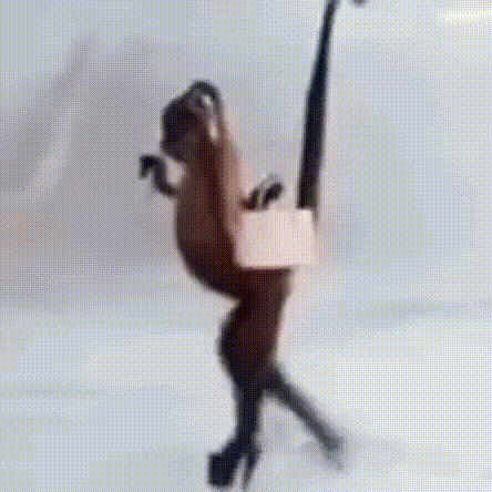 a blurred image of a monkey standing on its hind legs on a white surface .