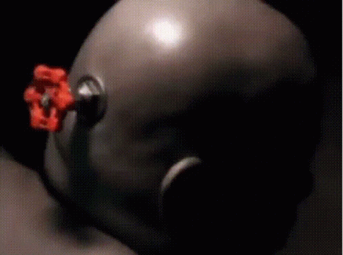 A Blurred Image Of A Person 'S Face With A Flower In The Background GIF