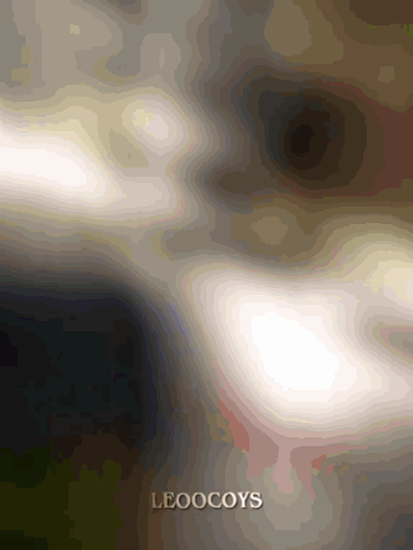a blurred image of a person 's face with the word leoocoys on the bottom right