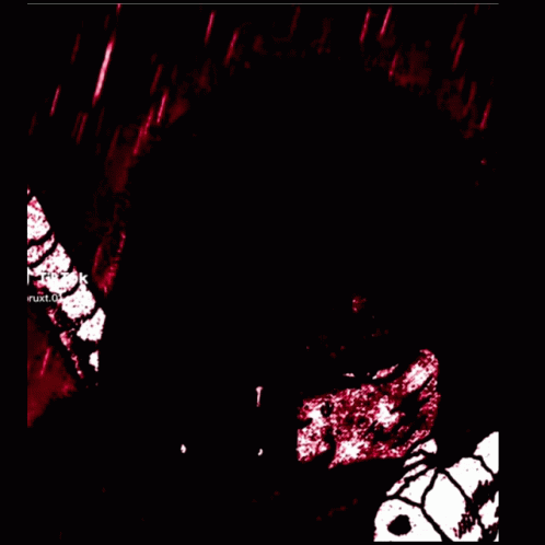 A Blurred Image Of A Person 'S Face With Tik Tok Written On The Bottom Right GIF