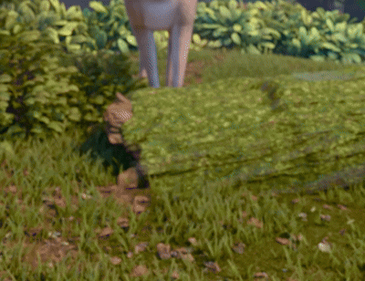 a blurred image of a person 's feet in the grass