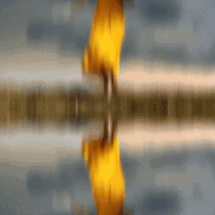 a blurred image of a person 's reflection in the water