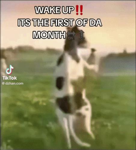A Blurred Image Of A Person Standing In A Field With The Caption " Wake Up " GIF