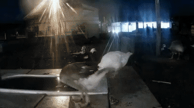 A Blurred Image Of A Person Standing In Front Of A House GIF
