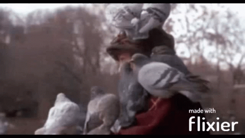 A Blurred Image Of A Person Surrounded By Pigeons With The Words Made With Flixier In The Corner GIF