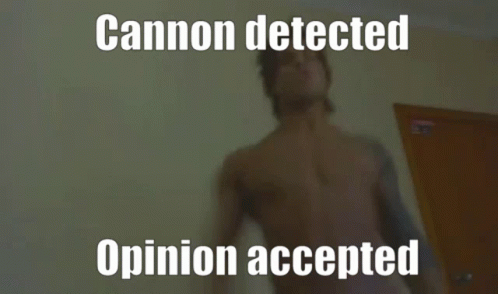 A Blurred Image Of A Person With The Words Cannon Detected Opinion Accepted GIF