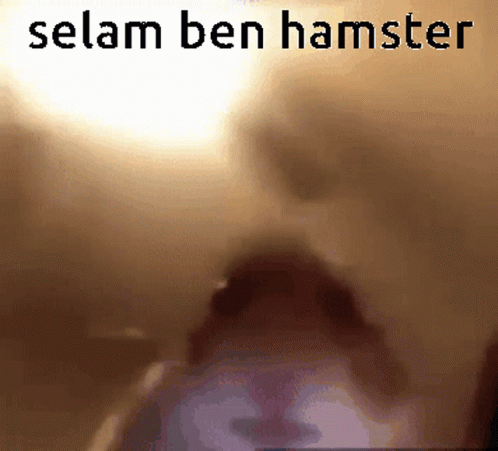 A Blurred Image Of A Person With The Words Selam Ben Hamster Below Them GIF