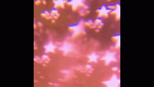 A Blurred Image Of A Pink Background With Stars GIF