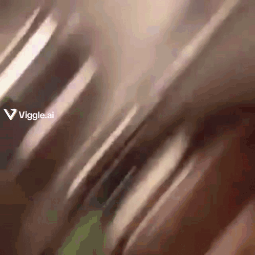 A Blurred Image With The Words Viggle.ai Visible GIF