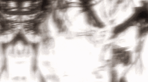 A Blurry Black And White Photo Of A Person Standing In Front Of A White Background . GIF