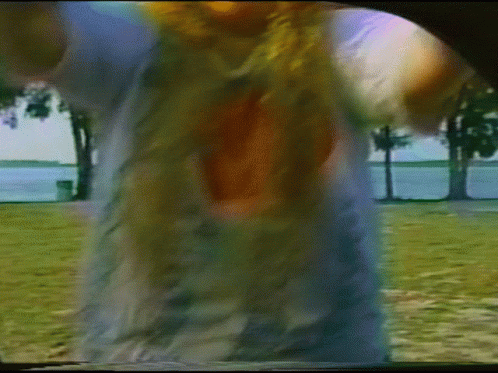 A Blurry Image Of A Person Standing In A Field With Trees In The Background GIF
