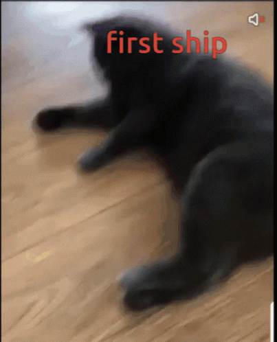 A Blurry Picture Of A Black Cat With The Words First Ship Visible GIF