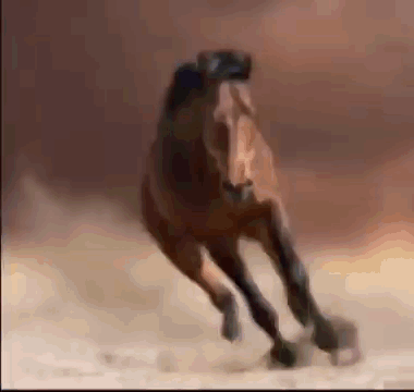 A Blurry Picture Of A Brown Horse Running In The Desert GIF