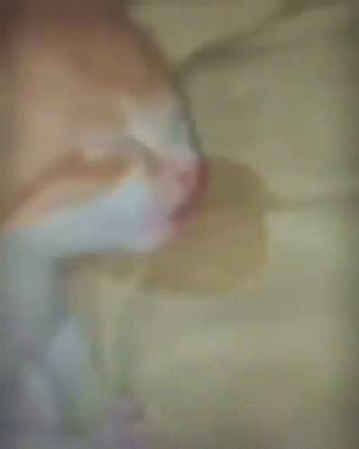 A Blurry Picture Of A Cat Sleeping On A Blanket GIF
