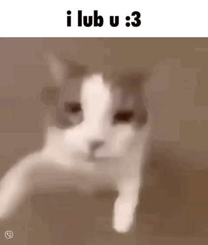 A Blurry Picture Of A Cat With The Words I Lub U : 3 Above It GIF