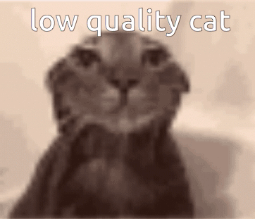 A Blurry Picture Of A Cat With The Words Low Quality Cat Written Above It GIF