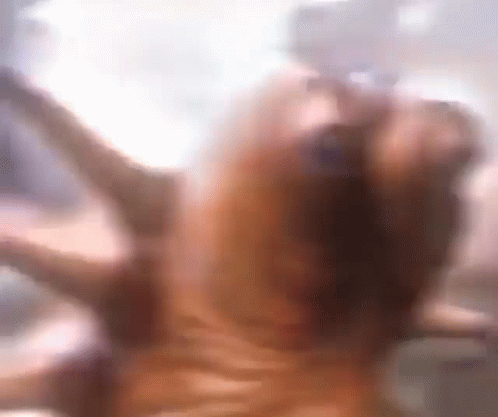 A Blurry Picture Of A Dog 'S Face With A Blurred Background GIF