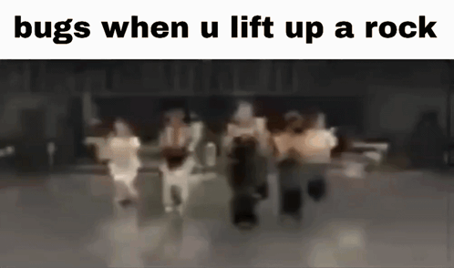 A Blurry Picture Of A Group Of People Dancing With The Caption `` Bugs When U Lift Up A Rock '' GIF