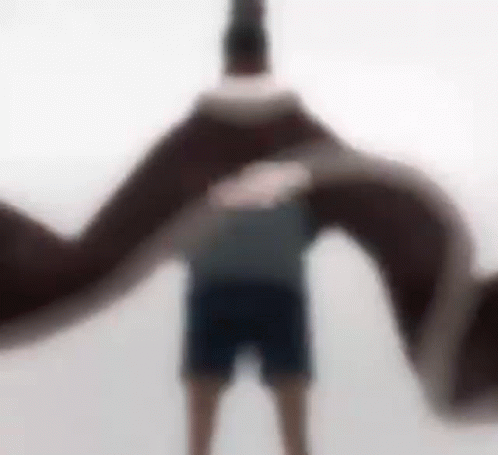A Blurry Picture Of A Man Standing In Front Of A Giant Snake . GIF